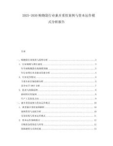 2025-2030購物袋行業兼并重組案例與資本運作模式分析報告
