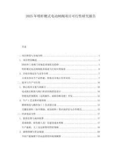2025年明桿楔式電動閘閥項目可行性研究報告
