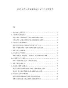 2025年立體聲調(diào)制器項(xiàng)目可行性研究報(bào)告
