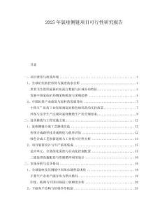 2025年氯喹側(cè)鏈項目可行性研究報告
