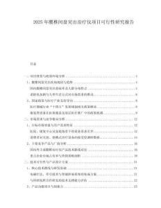 2025年腰椎間盤突出治療儀項(xiàng)目可行性研究報(bào)告