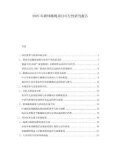 2025年群體跳繩項目可行性研究報告