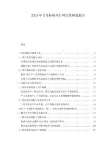 2025年飛馬轉(zhuǎn)椅項目可行性研究報告