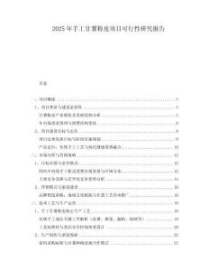 2025年手工甘薯粉皮項(xiàng)目可行性研究報(bào)告
