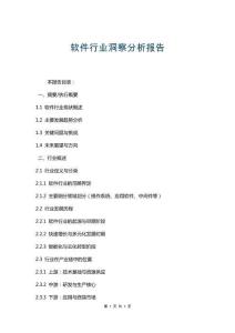 軟件行業(yè)洞察分析報(bào)告