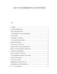 2025年方形雙眼超薄爐項目可行性研究報告
