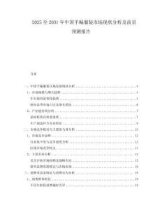 2025至2031年中國手編服裝市場現狀分析及前景預測報告