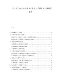 2025年戶內(nèi)交流高壓ＳＦ負荷開關(guān)項目可行性研究報告