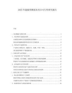 2025年超能型擦拭布項(xiàng)目可行性研究報(bào)告