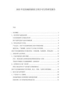 2025年直齒碗形插齒刀項目可行性研究報告