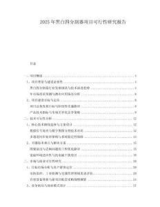2025年黑白四分割器項目可行性研究報告