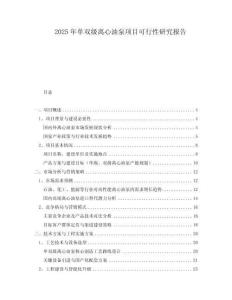 2025年单双级离心油泵项目可行性研究报告