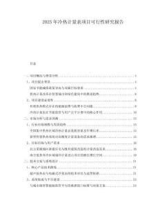 2025年冷熱計(jì)量表項(xiàng)目可行性研究報(bào)告
