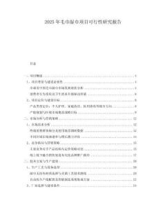 2025年毛巾濕巾項(xiàng)目可行性研究報(bào)告