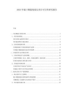 2025年窺口銅接線端頭項目可行性研究報告