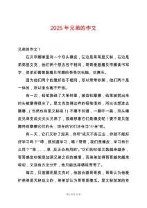 2025年兄弟的作文