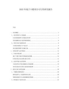 2025年端子卡模项目可行性研究报告