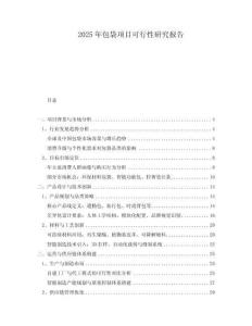 2025年包袋項(xiàng)目可行性研究報(bào)告