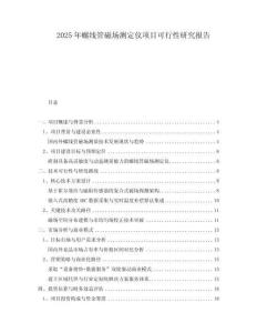 2025年螺線管磁場(chǎng)測(cè)定儀項(xiàng)目可行性研究報(bào)告