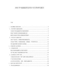 2025年電腦溫控儀項(xiàng)目可行性研究報(bào)告