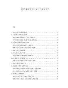 2025年藍(lán)狐項目可行性研究報告