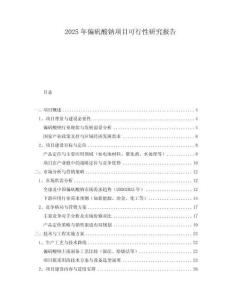2025年偏礬酸鈉項目可行性研究報告