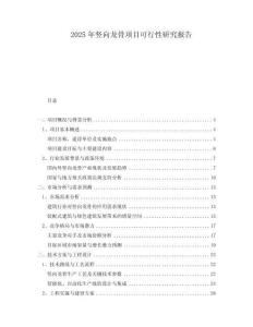 2025年豎向龍骨項(xiàng)目可行性研究報(bào)告