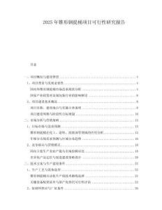 2025年錐形鋼提桶項(xiàng)目可行性研究報(bào)告