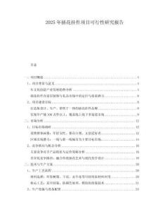 2025年插花掛件項目可行性研究報告