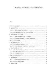2025年汽車內(nèi)視鏡項(xiàng)目可行性研究報(bào)告