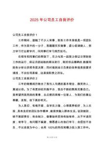 2025年公司員工自我評價