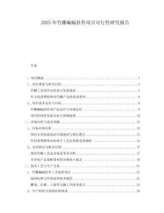 2025年竹雕蝙蝠掛件項目可行性研究報告