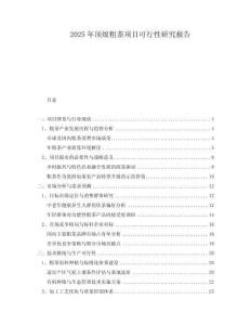 2025年頂級粗茶項目可行性研究報告