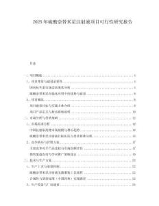 2025年硫酸奈替米星注射液項目可行性研究報告
