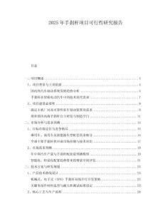 2025年手剎桿項目可行性研究報告