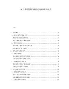 2025年煲燙爐項(xiàng)目可行性研究報(bào)告