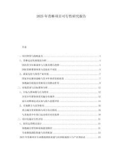 2025年青棒項目可行性研究報告