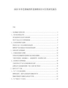 2025年單色塑柄四件套鋼銼項(xiàng)目可行性研究報(bào)告