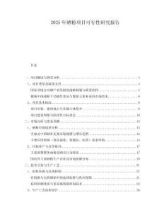 2025年硒粉項(xiàng)目可行性研究報(bào)告