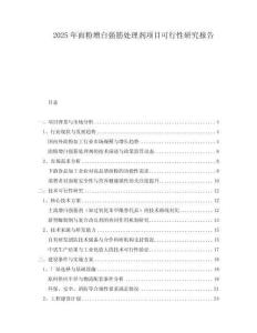 2025年面粉增白強(qiáng)筋處理劑項(xiàng)目可行性研究報(bào)告