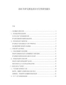 2025年薩克斯包項(xiàng)目可行性研究報(bào)告