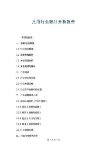 足浴行業(yè)賬目分析報(bào)告