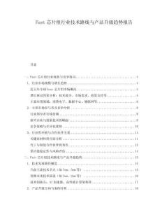 Fast芯片組行業(yè)技術(shù)路線與產(chǎn)品升級(jí)趨勢(shì)報(bào)告