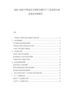 2025-2030中國金紅石型鈦白粉生產(chǎn)工藝比較與成本效益分析報(bào)告