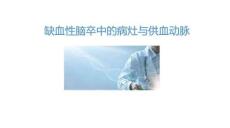 最新：缺血性腦卒中的病灶與供血?jiǎng)用}