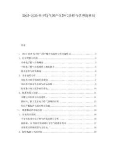 2025-2030電子特氣國(guó)產(chǎn)化替代進(jìn)程與供應(yīng)商格局