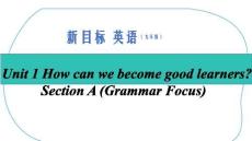 Unit1SectionAGrammar Focus第三課時(shí)課件 新目標(biāo)九年級(jí)Unit 1 How can we become good learners？