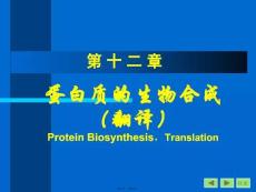 翻譯2(2)(共57張PPT)
