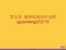 精神疾病治療過程的護(hù)理正規(guī)版資料
