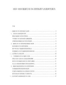 2025-2030能源行業(yè)ESG投資標(biāo)準(zhǔn)與實(shí)踐研究報(bào)告